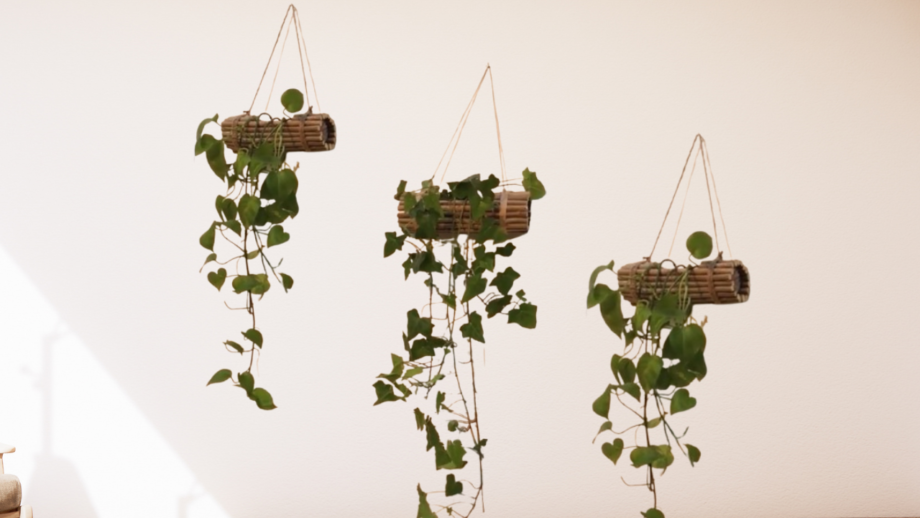 Hanging Planter DIY Banner